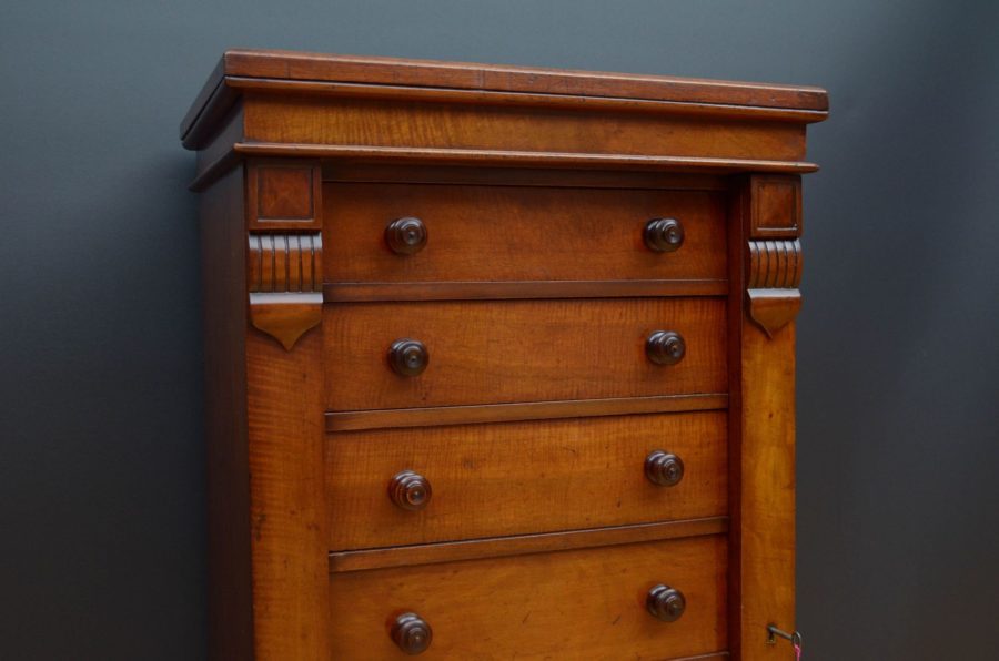 Victorian Mahogany Wellington Chest - Image 5
