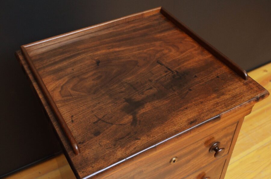 William IV Mahogany Bedside Cabinet - Image 4