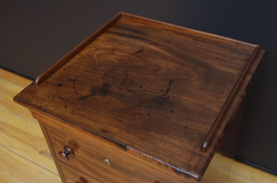 William IV Mahogany Bedside Cabinet - Image 5