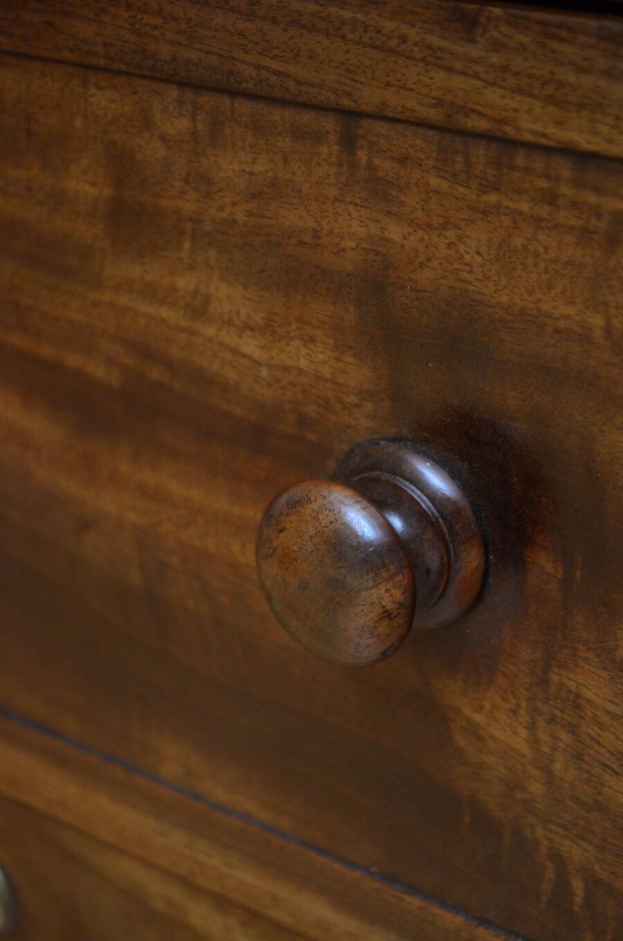 William IV Mahogany Bedside Cabinet - Image 7