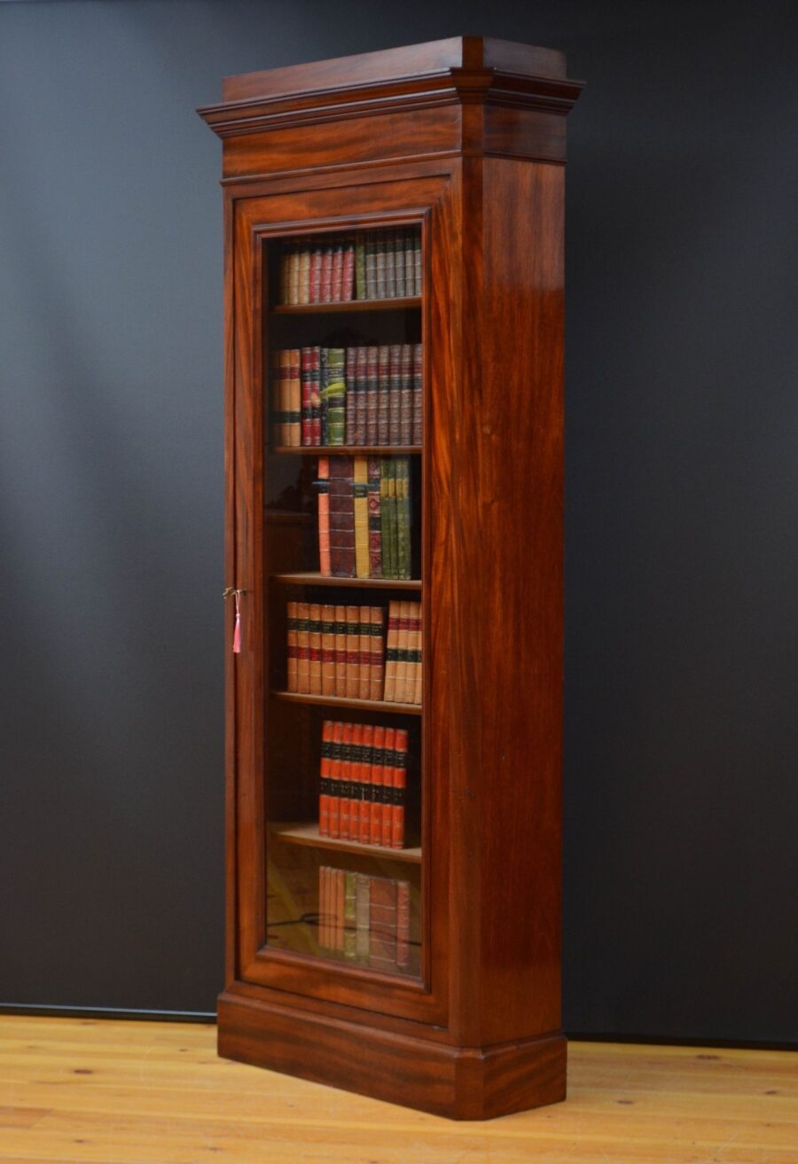 Tall and Slim Antique Bookcase in Mahogany - Image 2