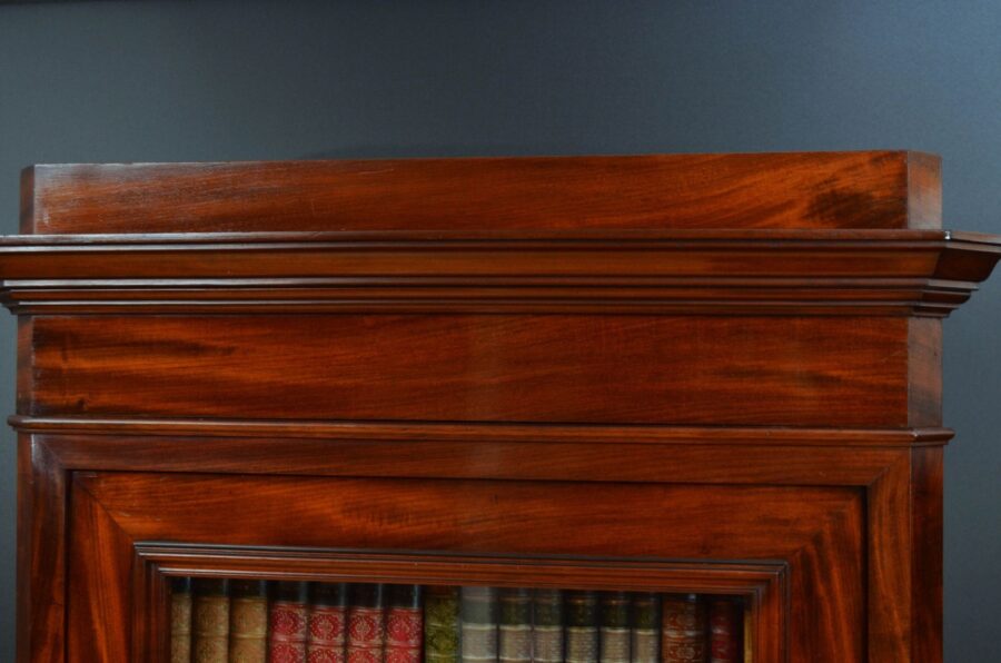 Tall and Slim Antique Bookcase in Mahogany - Image 7