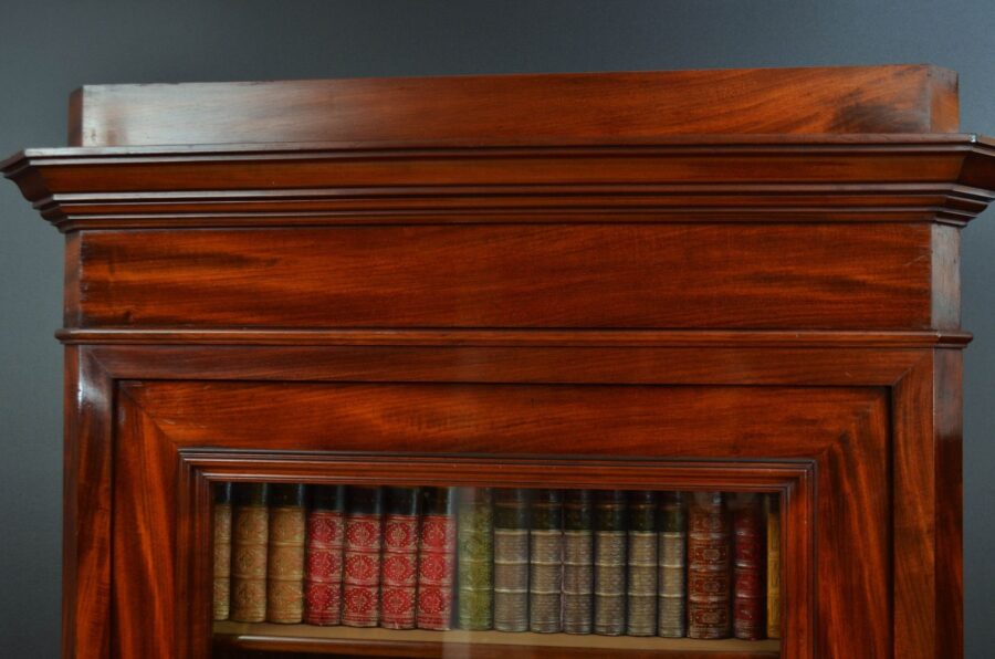 Tall and Slim Antique Bookcase in Mahogany - Image 8