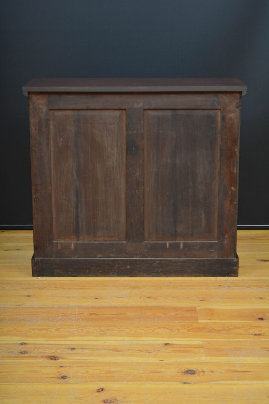 Finest Quality English William IV Two Door Chiffonier in Mahogany - Image 17