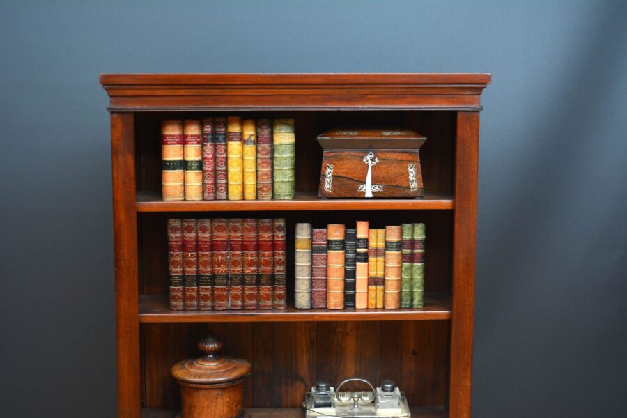 Tall and Slim Victorian Mahogany Open Bookcase - Image 10