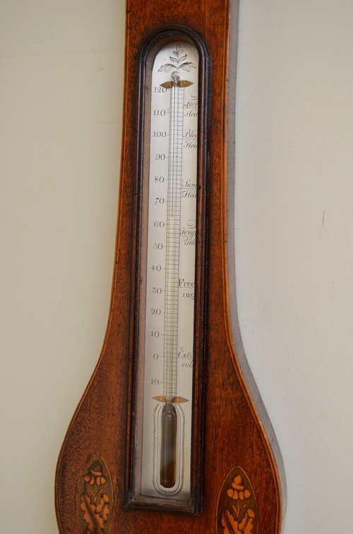 A Fine Quality Regency Wheel Barometer A. Gatty